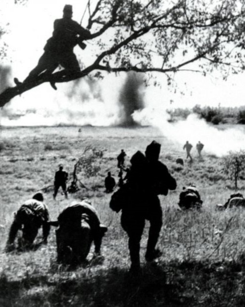 Курская стратегическая оборонительная операция